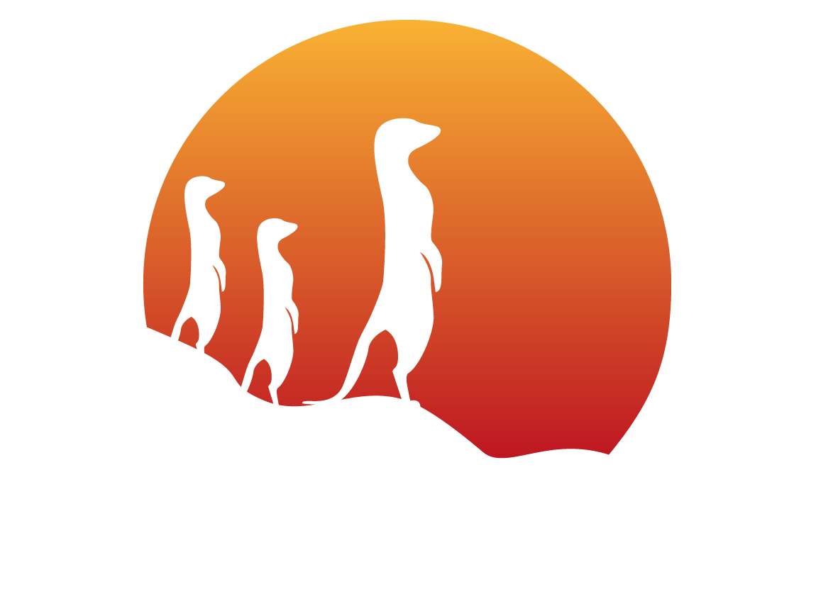 Suricata